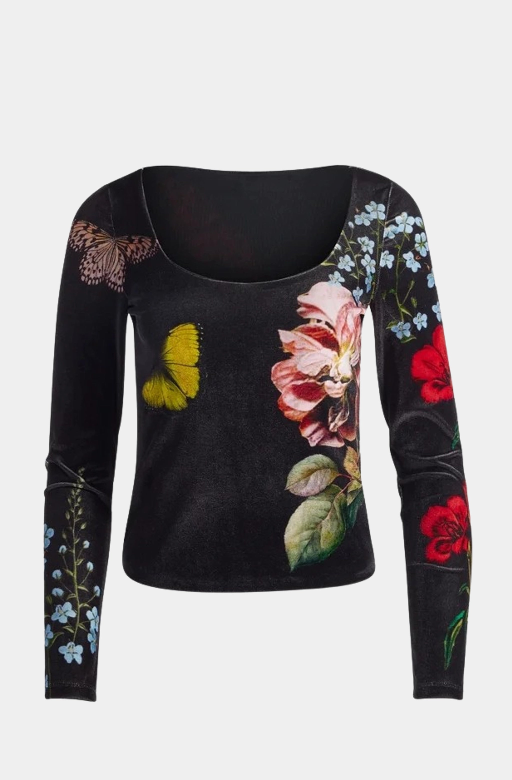 Delaina Scoop Neck Long Sleeve Top