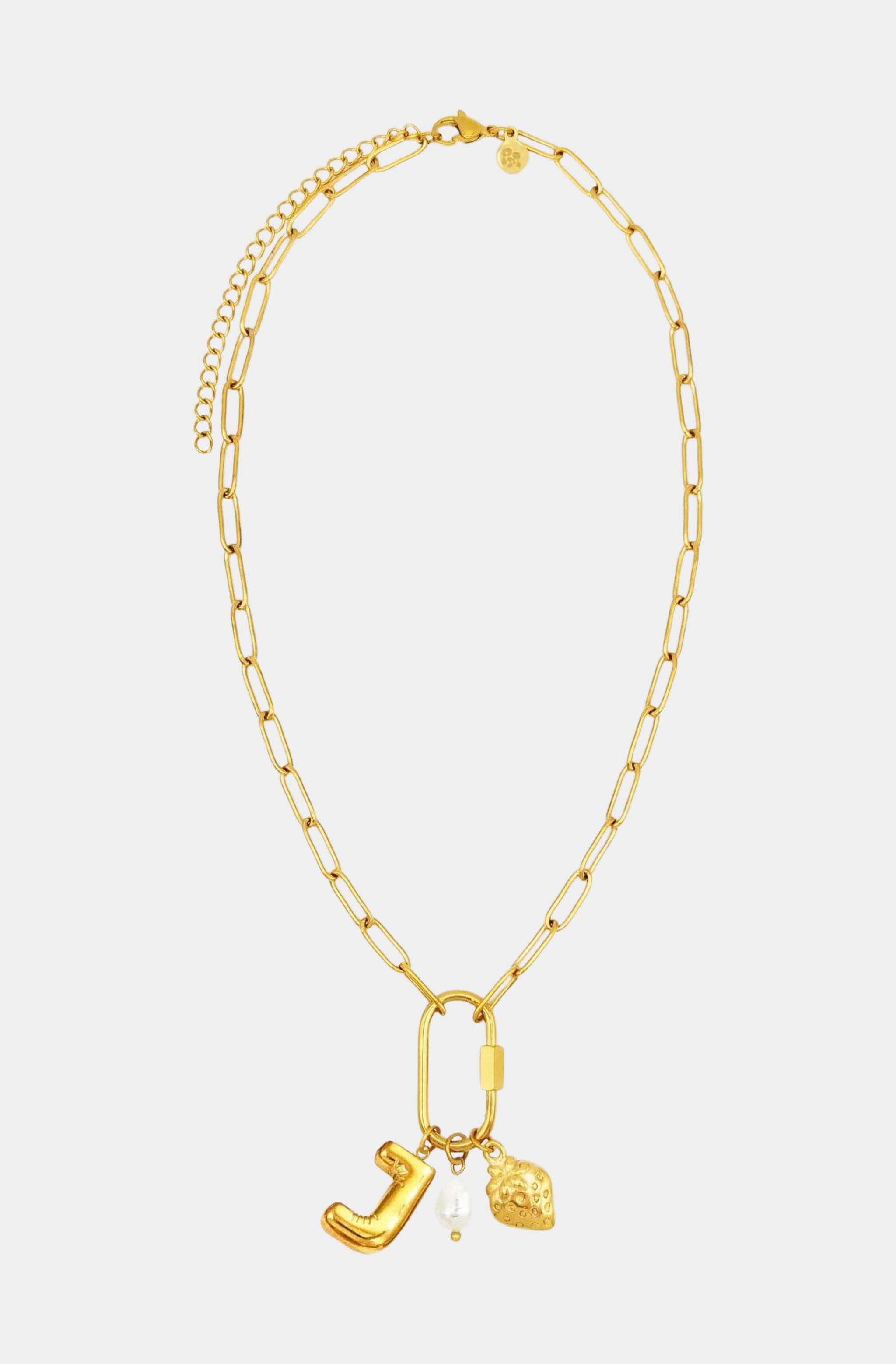 Carabiner Initial Charm Necklace