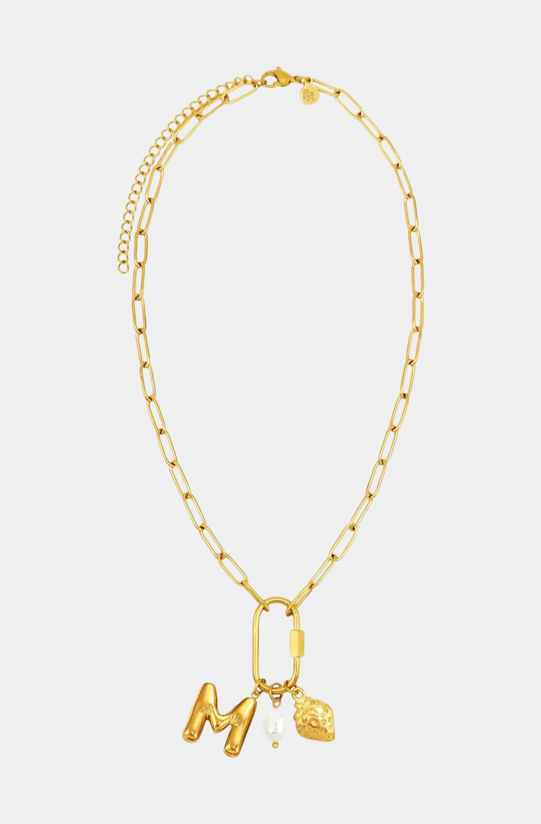 Carabiner Initial Charm Necklace