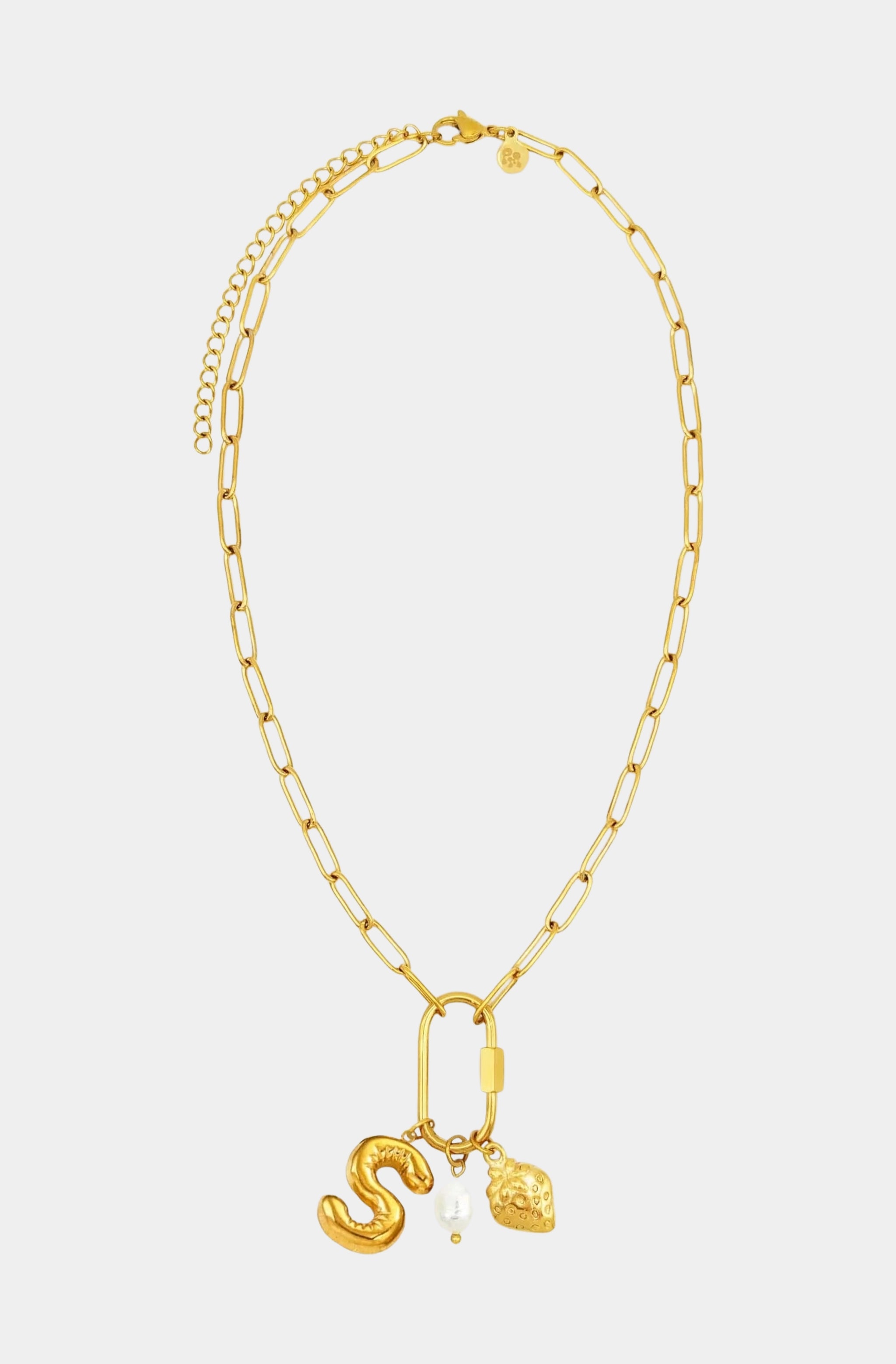 Carabiner Initial Charm Necklace