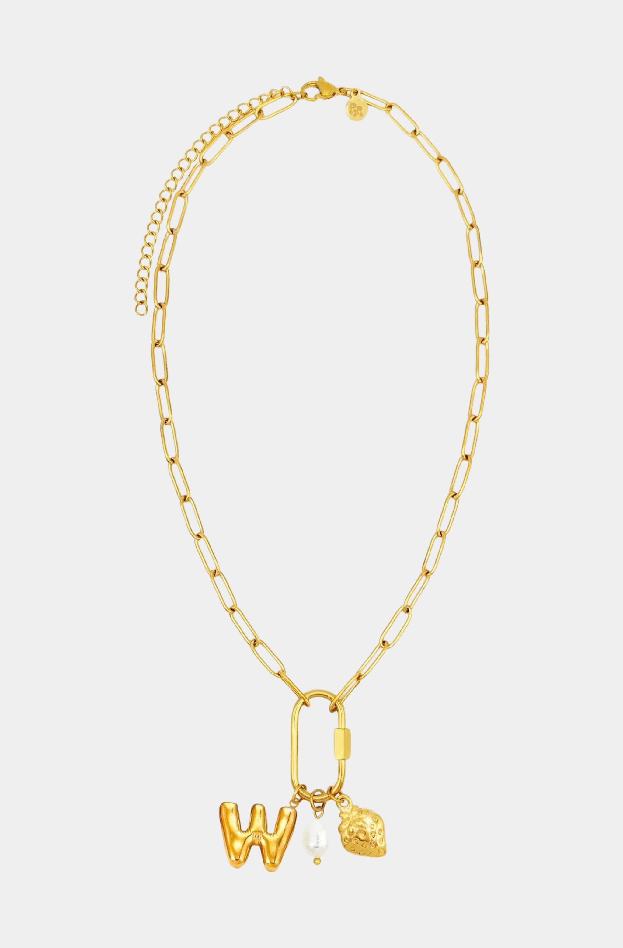 Carabiner Initial Charm Necklace